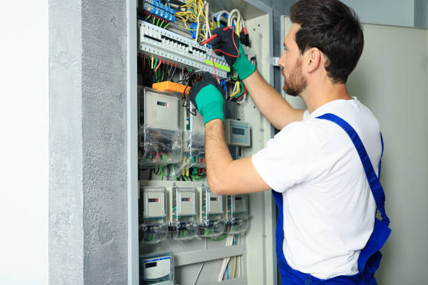 Best Affordable Electrician  in Meadow Glade, WA